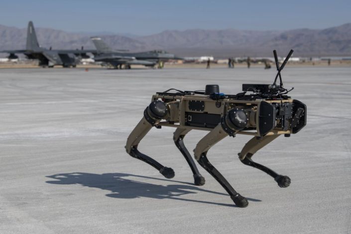 robot dog