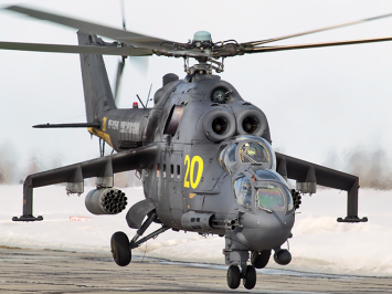 Hind F