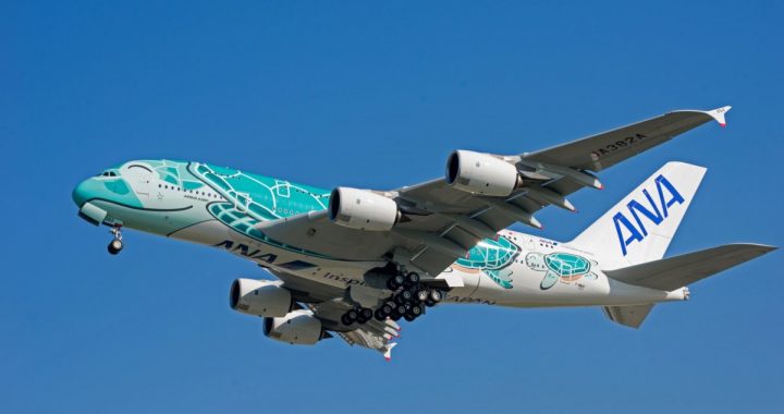 A380 Flying Honu