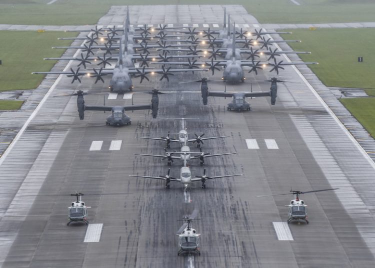 Elephant Walk Yokota