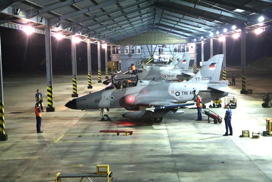 Hawk 209 TT-0209