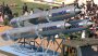 Rudal BrahMos