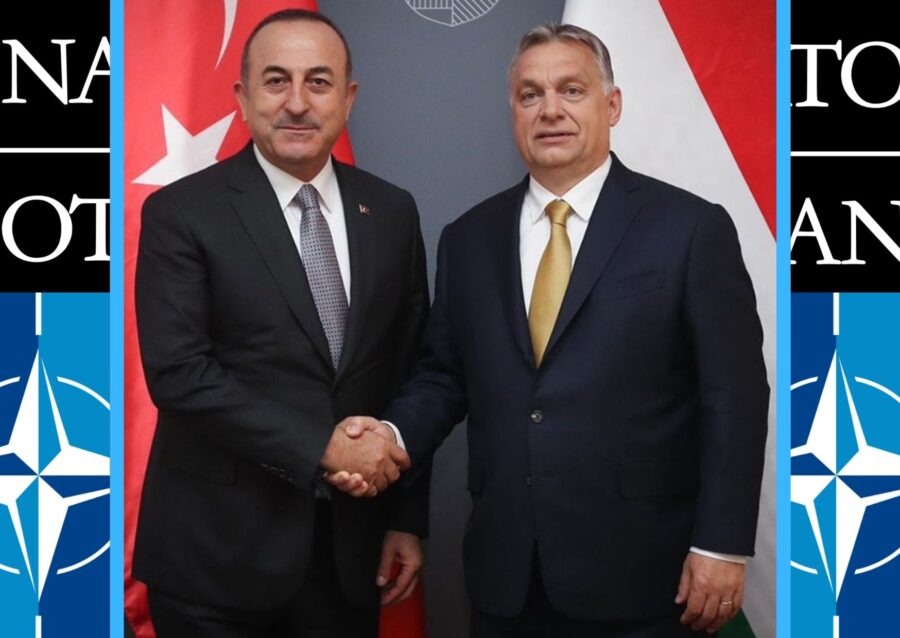 Mevlut Cavusoglu and Viktor Orban