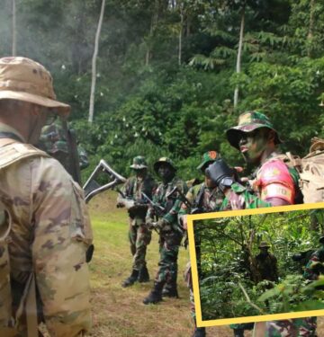 Platoon Exchange-1 2022