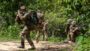 Angkatan Darat Inggris melaksanakan latihan pertempuran hutan dengan tentara Thailand