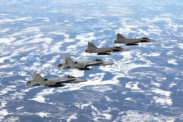 Finnish Hornets and Swedish Gripens