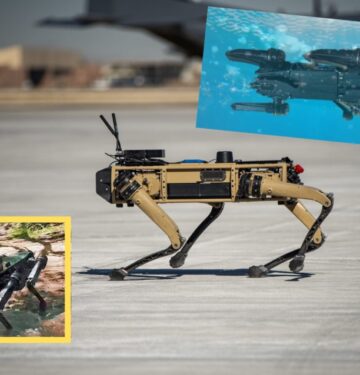 Robot Dog Vision 60