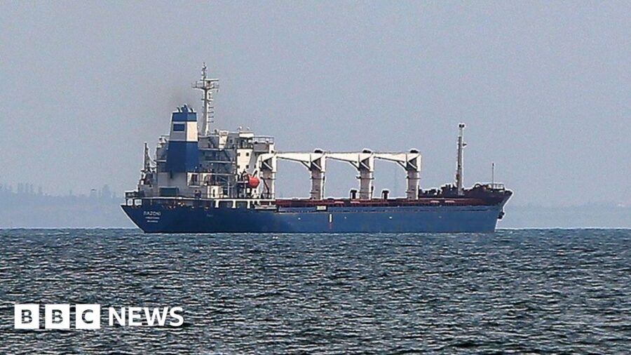 Kapal pembawa gandum dari Ukraine