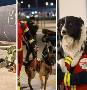 Tim SAR Meksiko membawa anjing pelacak ke Turki_ AR