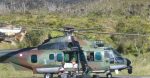 H225M Caracal Skadron Udara 8 menyalurkan bantuan sembako di Papua