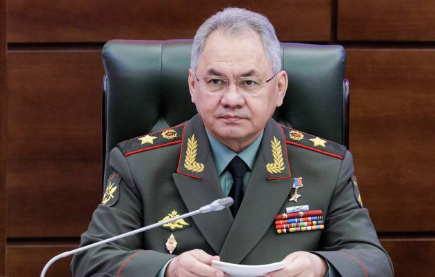 Sergey Shoigu_ TASS