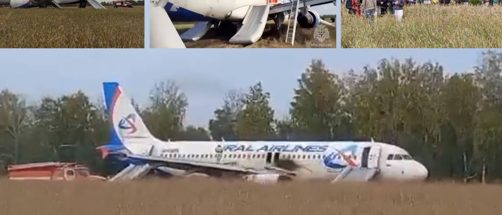 A320-200 Ural Airlines mendarat darurat di sebuah ladang di Novosibirsk (1)