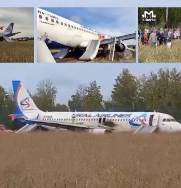 A320-200 Ural Airlines mendarat darurat di sebuah ladang di Novosibirsk (1)