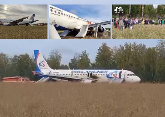 A320-200 Ural Airlines mendarat darurat di sebuah ladang di Novosibirsk (1)