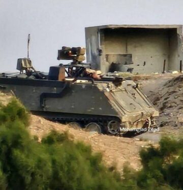 M113 Zelda