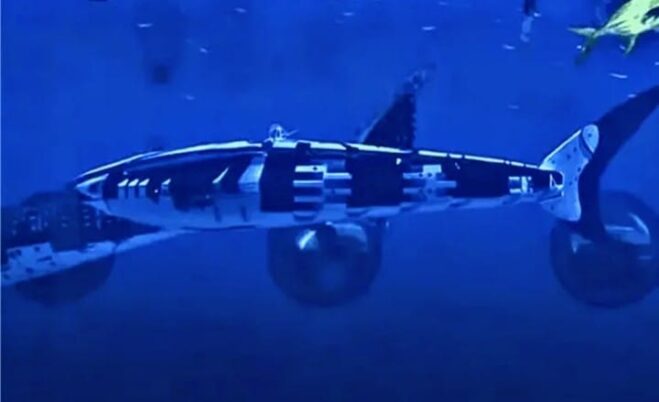 Whale Shark Robotik buatan China