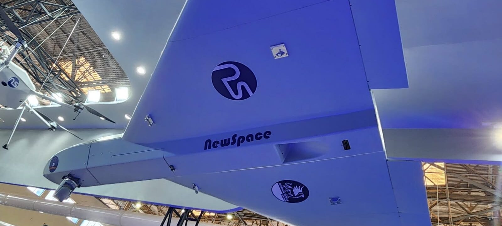 Drone kamikaze India Sheshnaag