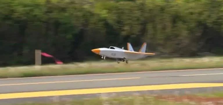 Loyal Wingman Jepang