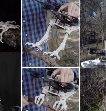 Ukraina kembangkan drone serang hutan yang mampu bertahan berhari-hari