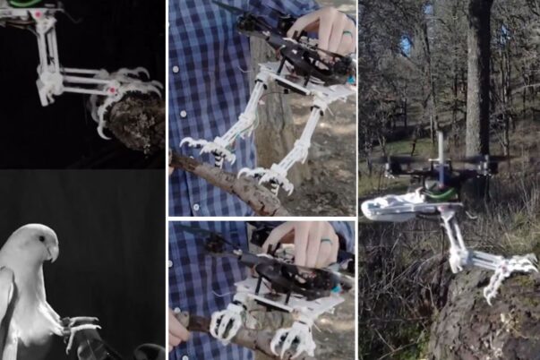 Ukraina kembangkan drone serang hutan yang mampu bertahan berhari-hari