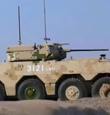 Type 19 IFV