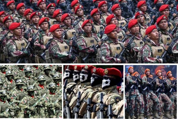 Tentara Nasional Indonesia