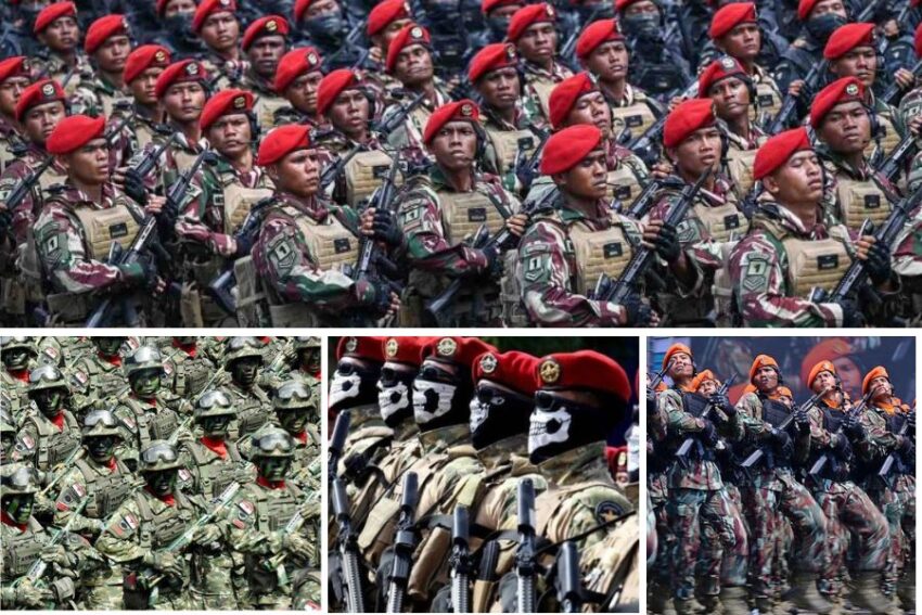 Tentara Nasional Indonesia