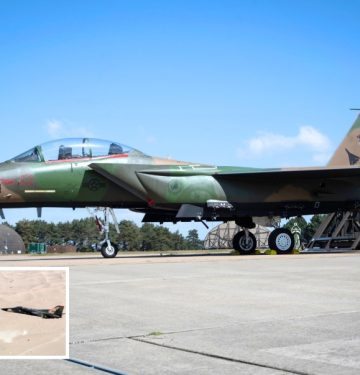 F-15E LN dengan corak F-111 Aadvark_1