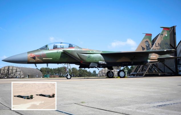 F-15E LN dengan corak F-111 Aadvark_1