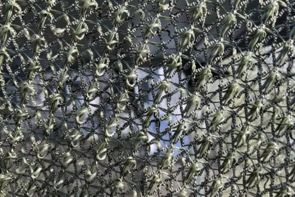 Jaring antidrone buatan Rusia - Dapat menutup sendiri setelah terkena ledakan