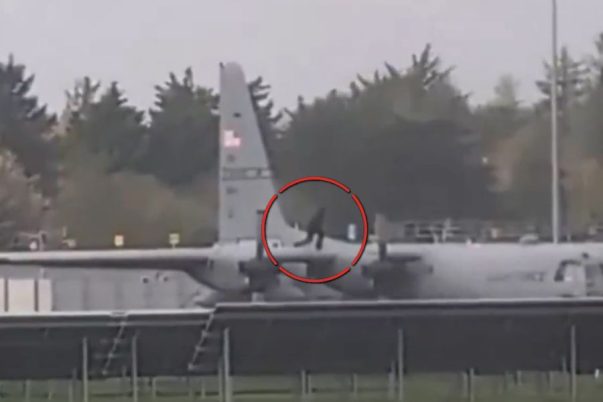 Penyusup berkapak merusak pesawat C-130 AS di Bandara Shannon Irlandia