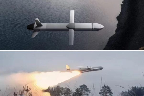 Rudal jelajah dan roket balistik untuk NATO dari Rheinmetall dan Destinus