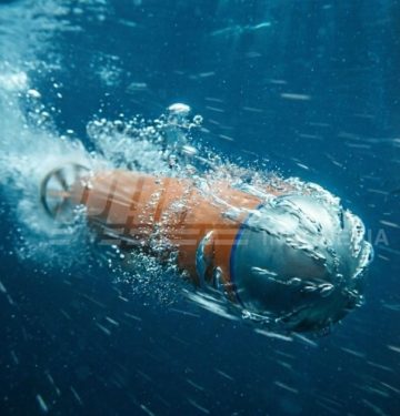 Torpedo Piranha PT PAL