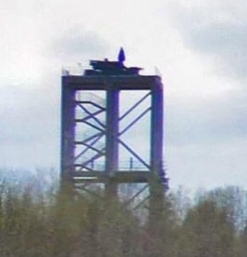 Tower Pantsir-S1 di Valdai