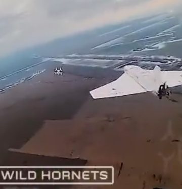 Wild Hornets kendalikan drone Sting dari jarak 2000 km