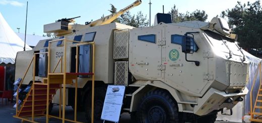 CWS-30GD Viking
